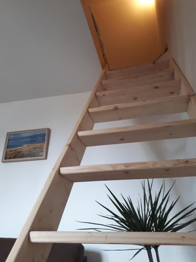 Surf Hostel Quiberon, L'Oyat サン・ピエール・キブロン エクステリア 写真